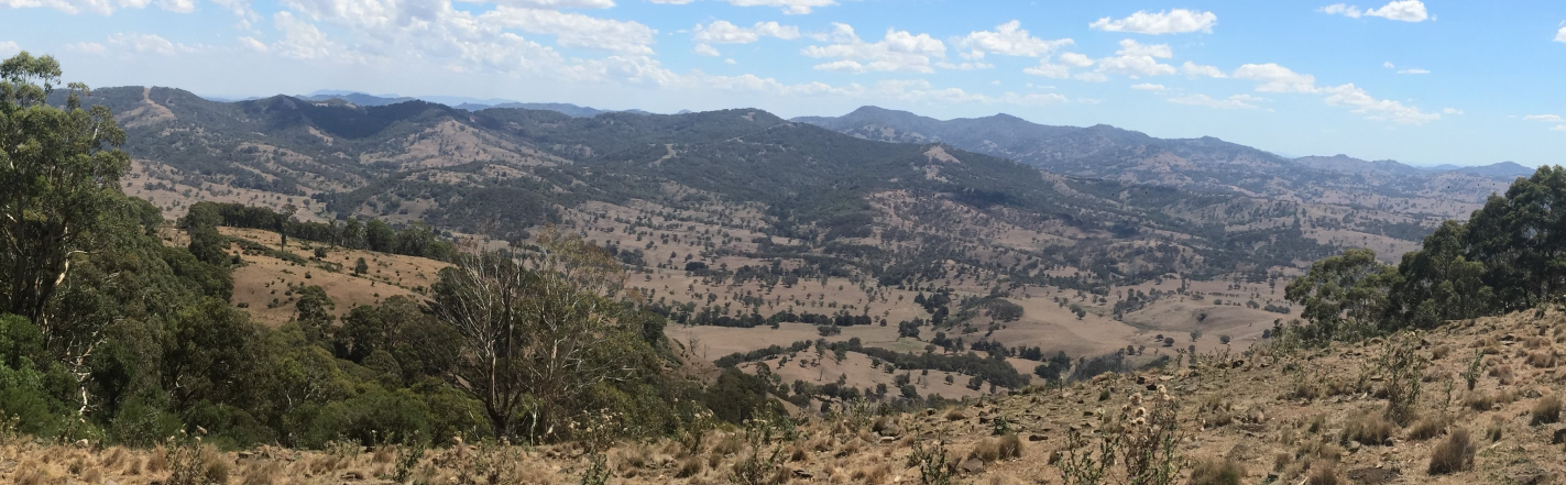 Hills of Gold Wind Farm