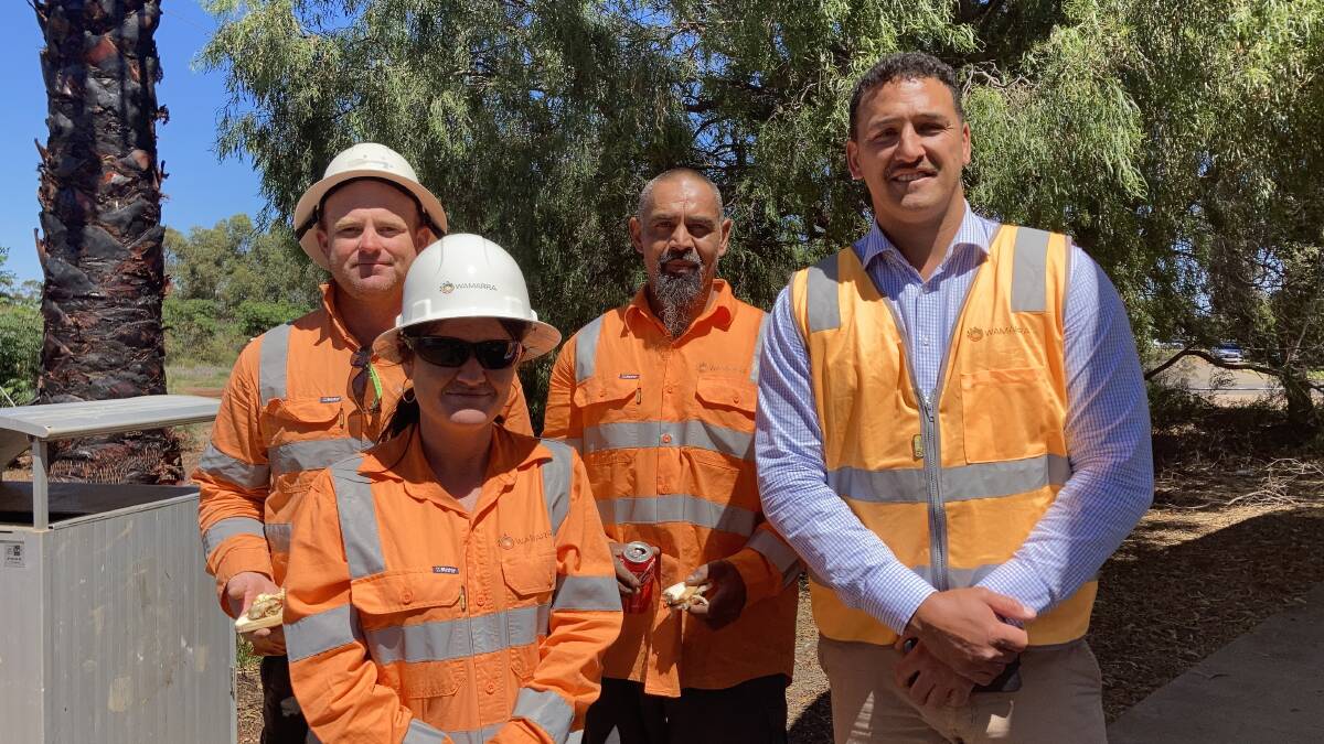Wamarra case study