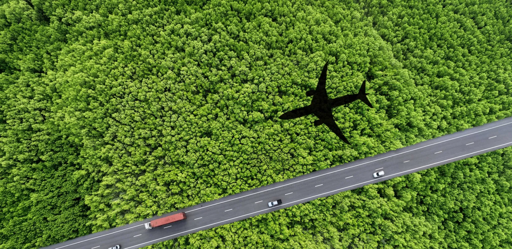 Overhead road and air transport